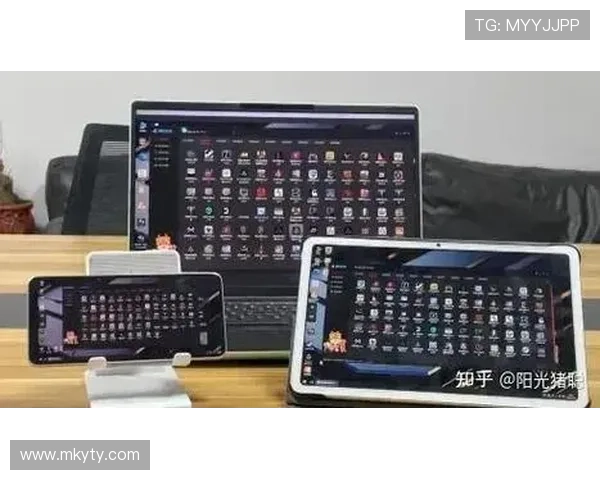 开云体云app官网登录入口操作步骤详解，轻松掌握登录流程提升使用效率