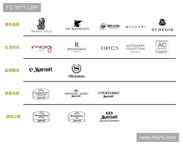 开云集团网址导航，快速找到集团旗下奢侈品牌的官方资讯页面