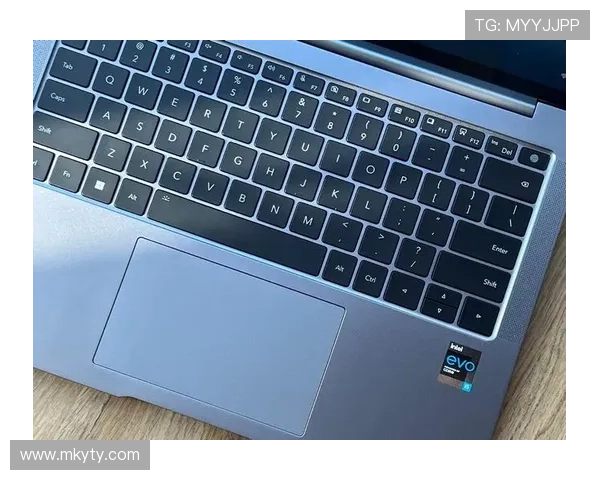 开云Kaiyun正规网址的安全保障措施及官方认证流程全方位解析