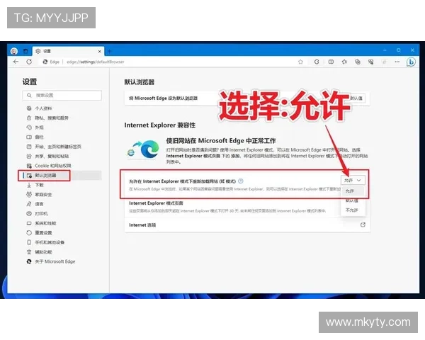 开云网站登录页面无法加载?排查网络问题和浏览器设置的实用建议 开云网站登录页面无法加载?排查网络问题和浏览器设置的实用建议