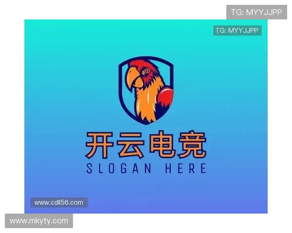 开云电竞网站为电竞爱好者提供丰富的社区交流平台促进玩家互动与合作