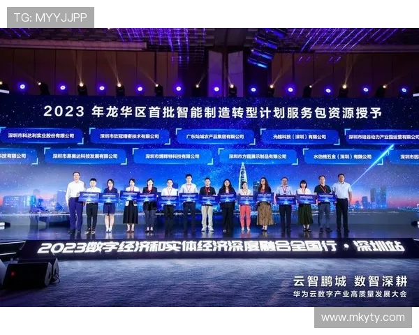 深入探讨开云公司在数字化转型中的创新举措及其对游戏行业合作的积极推动作用