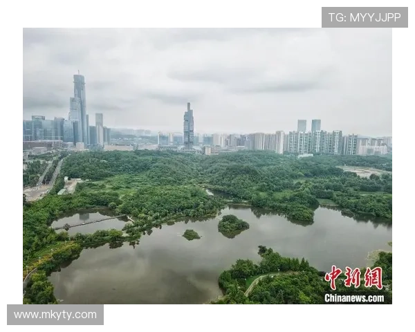 开云Kaiyun官网手机版账号注册与登录流程详解，轻松开启你的专属游戏之旅